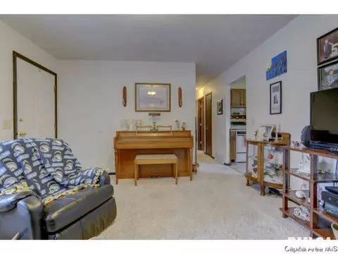2921 Griffiths, Springfield, IL 62702 photo 5