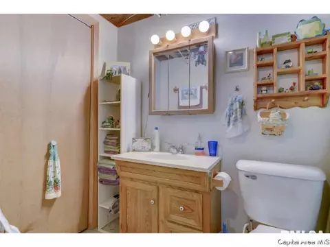 2921 Griffiths, Springfield, IL 62702 photo 28