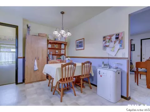 2921 Griffiths, Springfield, IL 62702 photo 9