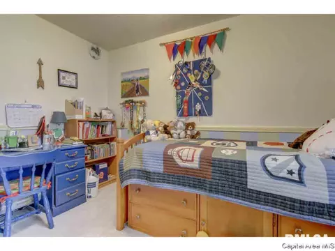 2921 Griffiths, Springfield, IL 62702 photo 17