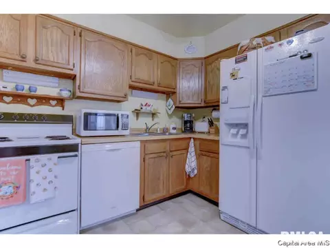 2921 Griffiths, Springfield, IL 62702 photo 10