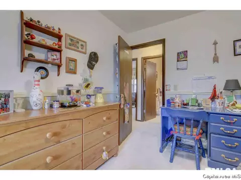 2921 Griffiths, Springfield, IL 62702 photo 19