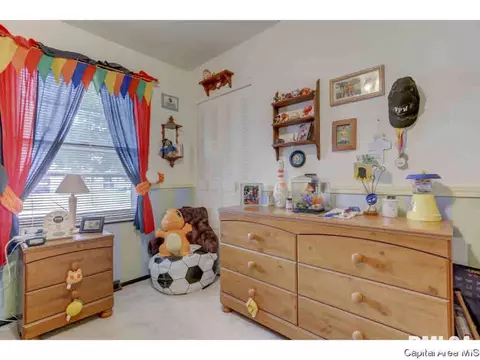 2921 Griffiths, Springfield, IL 62702 photo 18