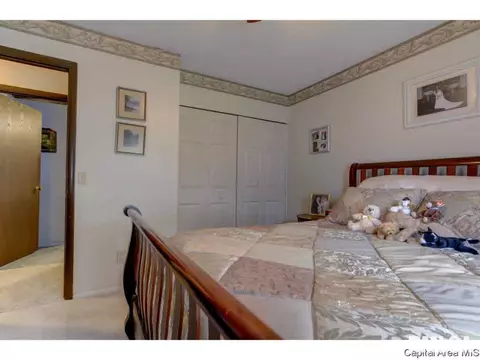 2921 Griffiths, Springfield, IL 62702 photo 14