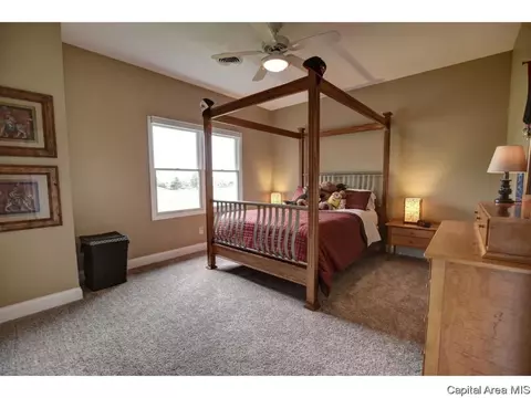 4401 Turtle Bay, Springfield, IL 62711 photo 32