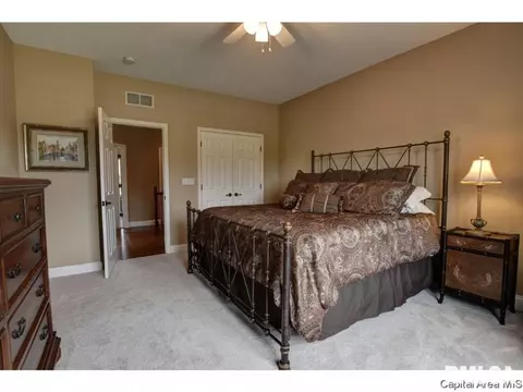4401 Turtle Bay, Springfield, IL 62711 photo 23