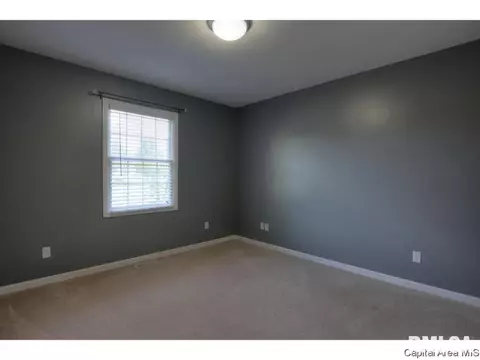 4628 Svenson Dr, Springfield, IL 62711 photo 26
