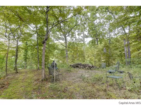 12 Hickory Hills Dr, Springfield, IL 62707 photo 34