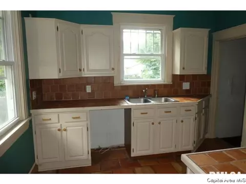 221 N Douglas Ave, Springfield, IL 62702 photo 7
