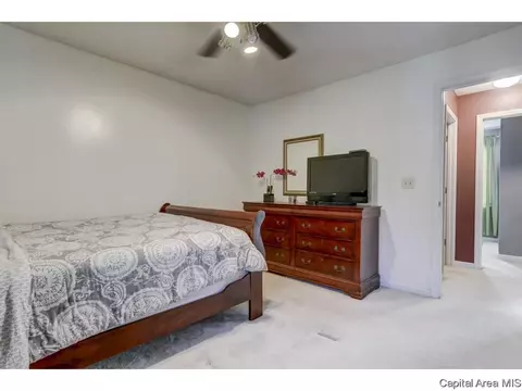 817 Helene, Springfield, IL 62702 photo 9