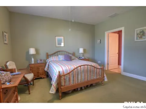809 Longleaf Ct, Springfield, IL 62711 photo 21