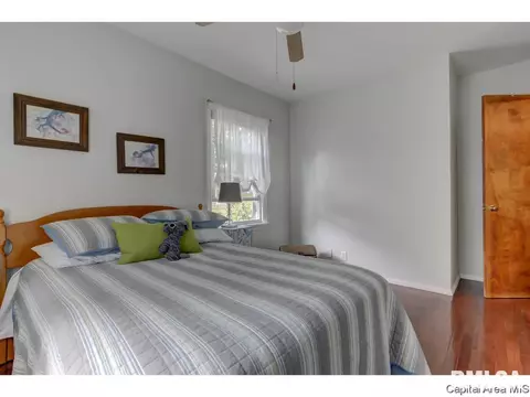 1616 W Edwards St, Springfield, IL 62704 photo 18