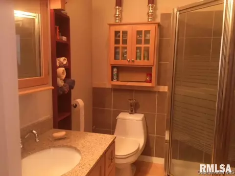 608 S Walnut St, Springfield, IL 62704 photo 16