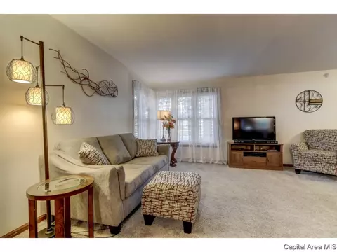 65 Lambert Ln, Springfield, IL 62704 photo 29