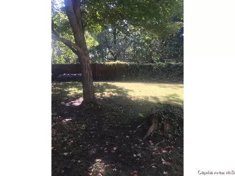 1130 E Spruce St, Springfield, IL 62703 photo 4