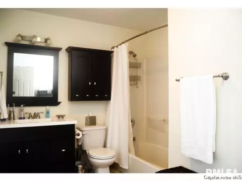1009 N 1st St, Springfield, IL 62702 photo 14