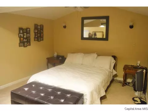 1009 N 1st St, Springfield, IL 62702 photo 12