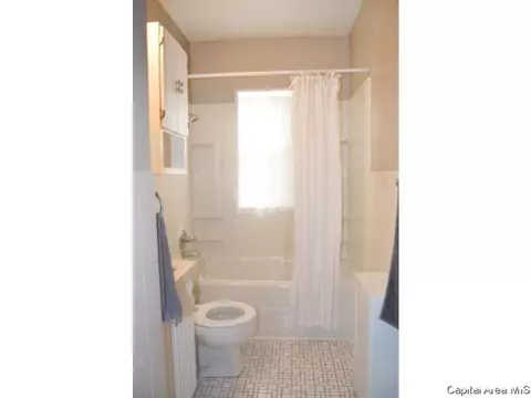 1009 N 1st St, Springfield, IL 62702 photo 10