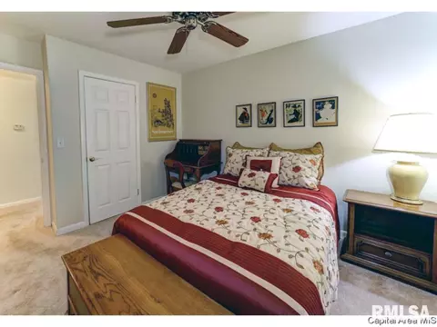 41 Andover Dr, Springfield, IL 62704 photo 15