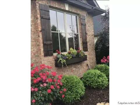 2301 Argonne Ave, Springfield, IL 62704 photo 33