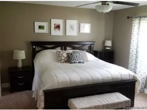 602 N Bitterroot Dr, Athens, IL 62613 photo 6