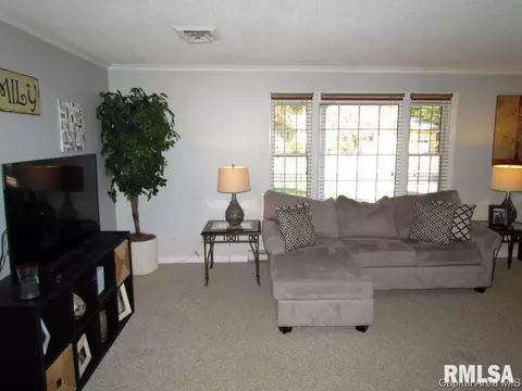 18 Groton Dr, Springfield, IL 62702 photo 14