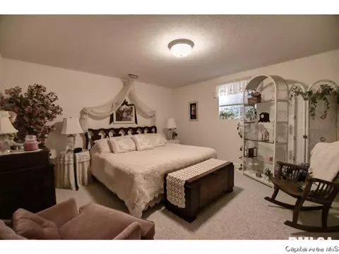 2013 W Laurel St, Springfield, IL 62704 photo 19