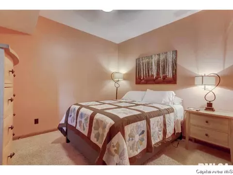 16 Long Bay Rd, Springfield, IL 62712 photo 21