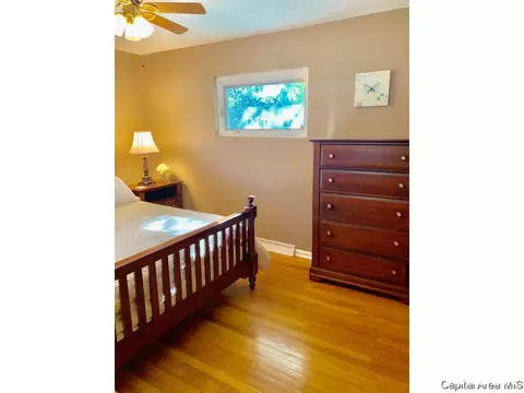 20 Monica Ct, Springfield, IL 62702 photo 19