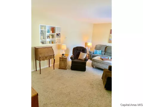 20 Monica Ct, Springfield, IL 62702 photo 8