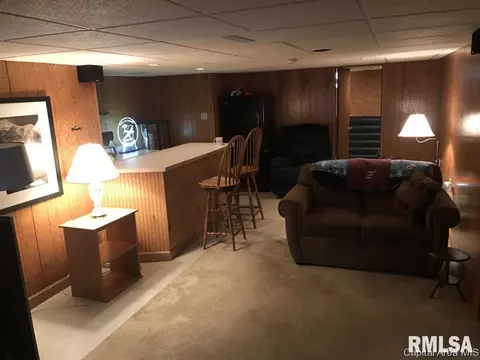 20 Monica Ct, Springfield, IL 62702 photo 25