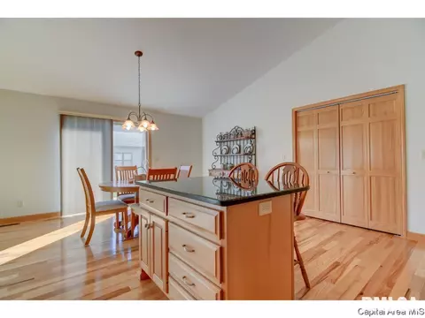 2918 Cronin Dr, Springfield, IL 62711 photo 9