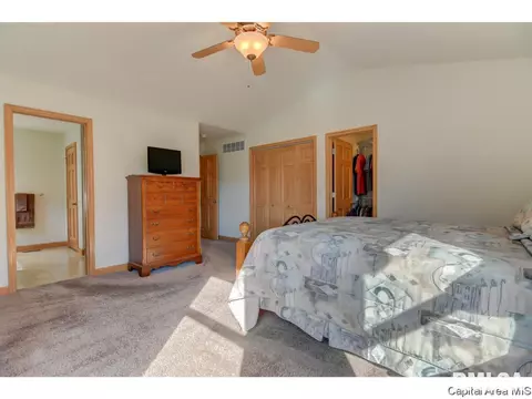 2918 Cronin Dr, Springfield, IL 62711 photo 15