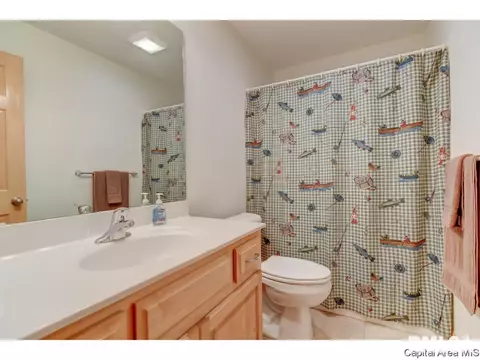2918 Cronin Dr, Springfield, IL 62711 photo 20