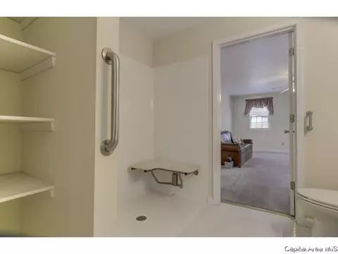 1616 Holmes Ave, Springfield, IL 62704 photo 29