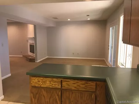 305 Bellerive Rd, Springfield, IL 62704 photo 12