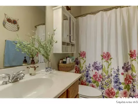 7200 Wentworth Dr, Springfield, IL 62711 photo 30