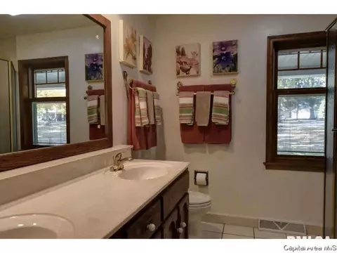 66 N Fox Mill Ln, Springfield, IL 62707 photo 21