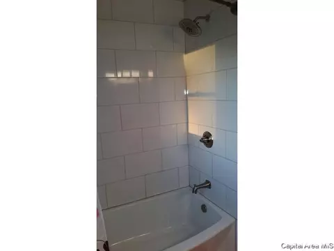 11 Chippewa Run, Pana, IL 62557 photo 13