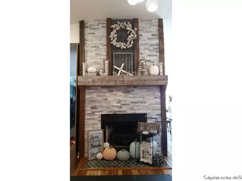 11 Chippewa Run, Pana, IL 62557 photo 3