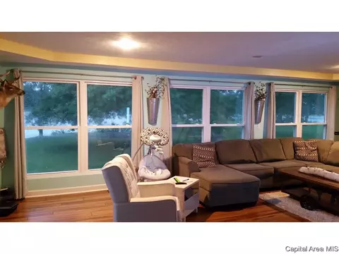 11 Chippewa Run, Pana, IL 62557 photo 4