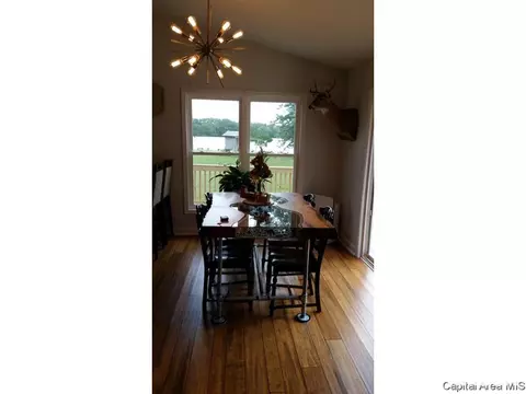 11 Chippewa Run, Pana, IL 62557 photo 8