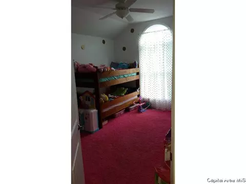 11 Chippewa Run, Pana, IL 62557 photo 10