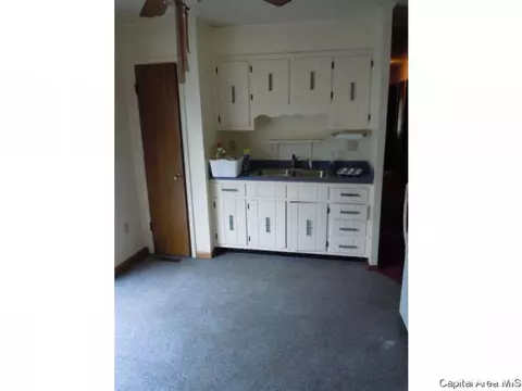 107 Coeburg St, Rio, IL 61472 photo 2