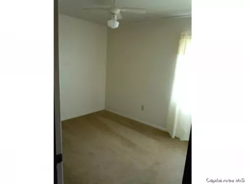 107 Coeburg St, Rio, IL 61472 photo 7