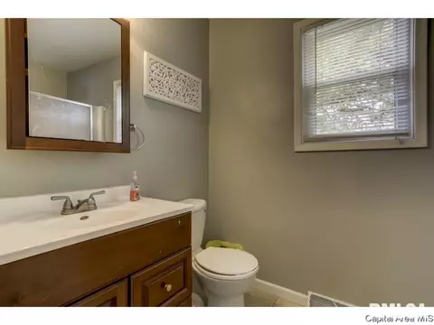412 E Lynwood Dr, Athens, IL 62613 photo 12