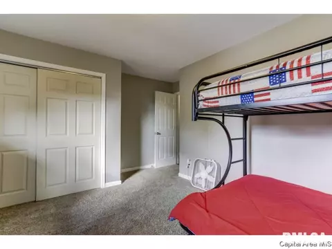 412 E Lynwood Dr, Athens, IL 62613 photo 19