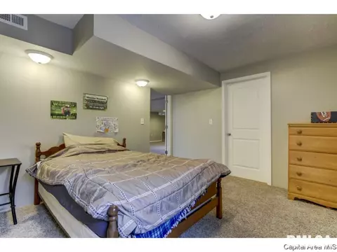 412 E Lynwood Dr, Athens, IL 62613 photo 27