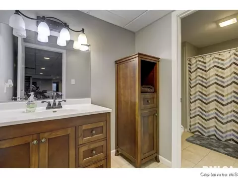 412 E Lynwood Dr, Athens, IL 62613 photo 25
