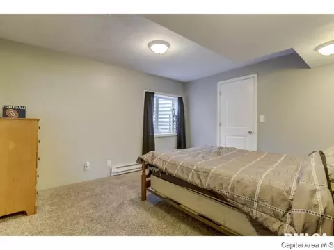412 E Lynwood Dr, Athens, IL 62613 photo 28